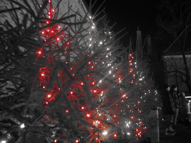 Jõulupuu liuvälja juures...