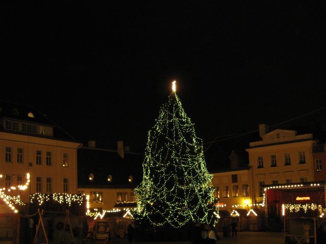 Võluv jõulupuu Raekoja platsil