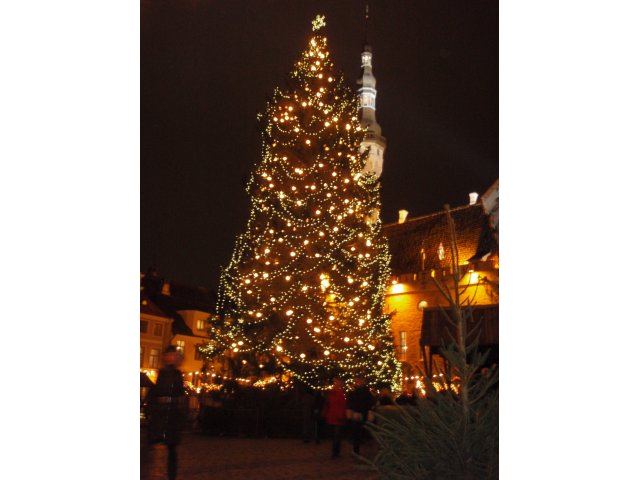 Jõulukuusk ja Raekoja plats