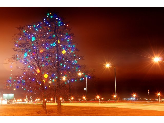 Jõulu eri - kingipuu