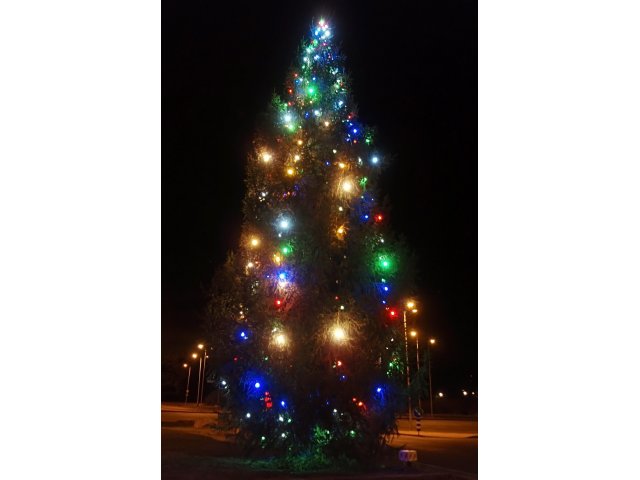 Järve Selveri Jõulupuu