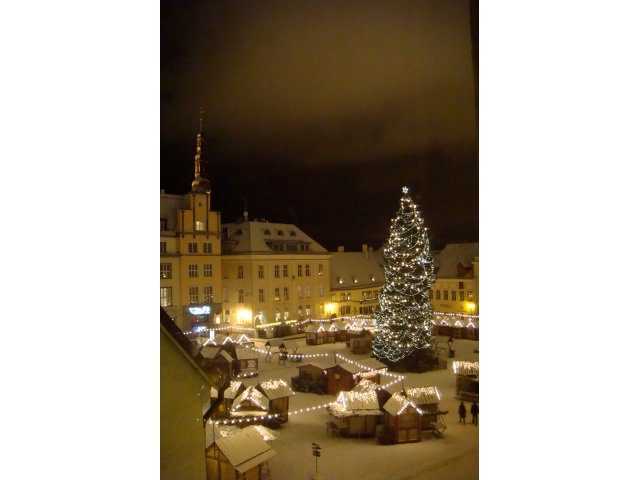 Raekoja platsi jõulukuusk